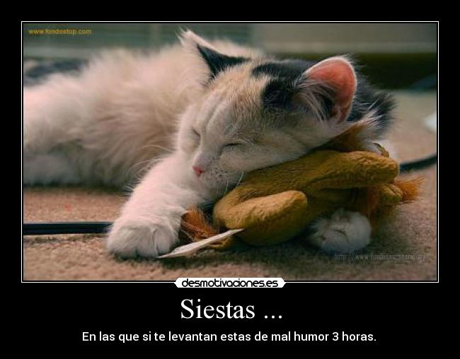 Siestas ... - En las que si te levantan estas de mal humor 3 horas. 