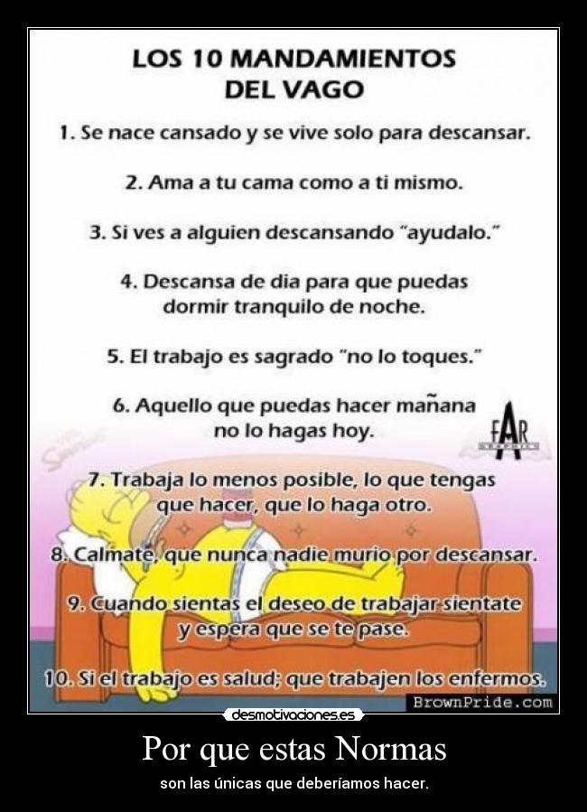 Por que estas Normas -