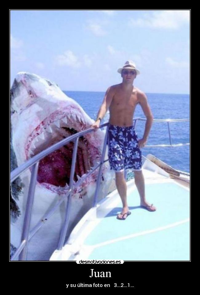 carteles ultima foto desmotivaciones