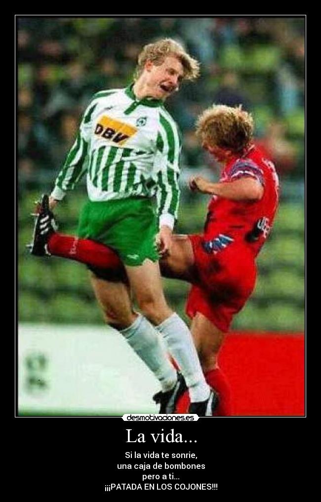 La vida... - Si la vida te sonrie,
una caja de bombones
pero a ti...
¡¡¡PATADA EN LOS COJONES!!!