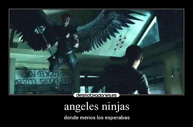 angeles ninjas - donde menos los esperabas