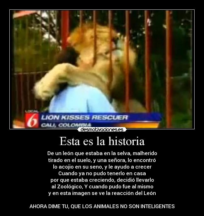 Esta es la historia -