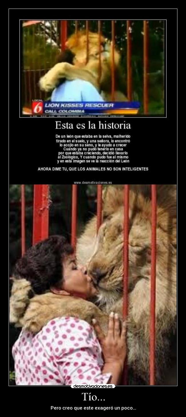 Tío... - Pero creo que este exageró un poco...