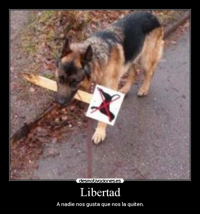 Libertad -
