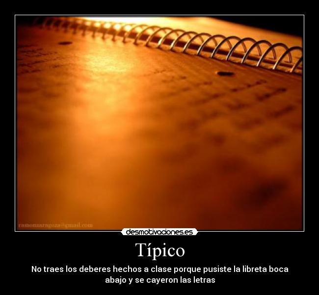Típico - 