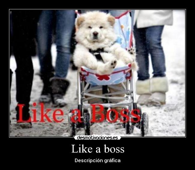 Like a boss - Descripción gráfica