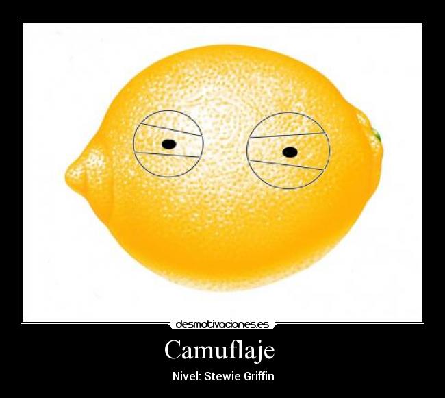 Camuflaje  - Nivel: Stewie Griffin