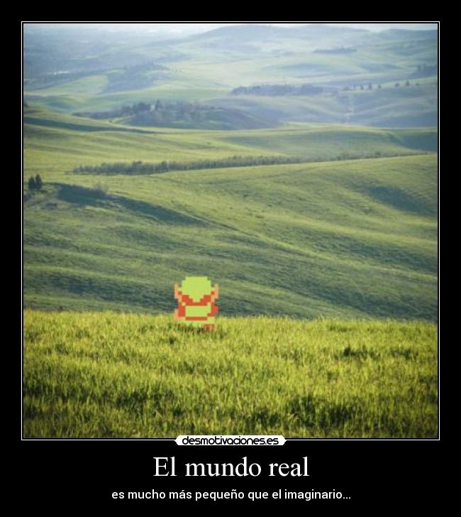 El mundo real -