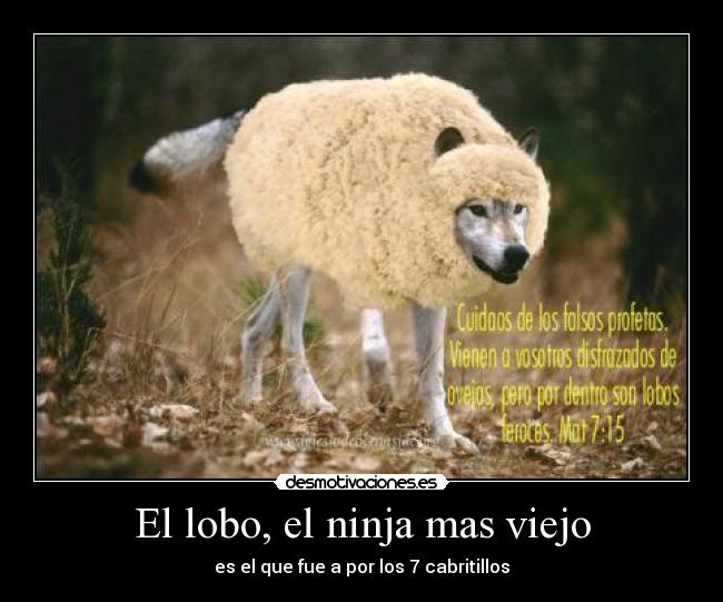 carteles rayser desmotivaciones