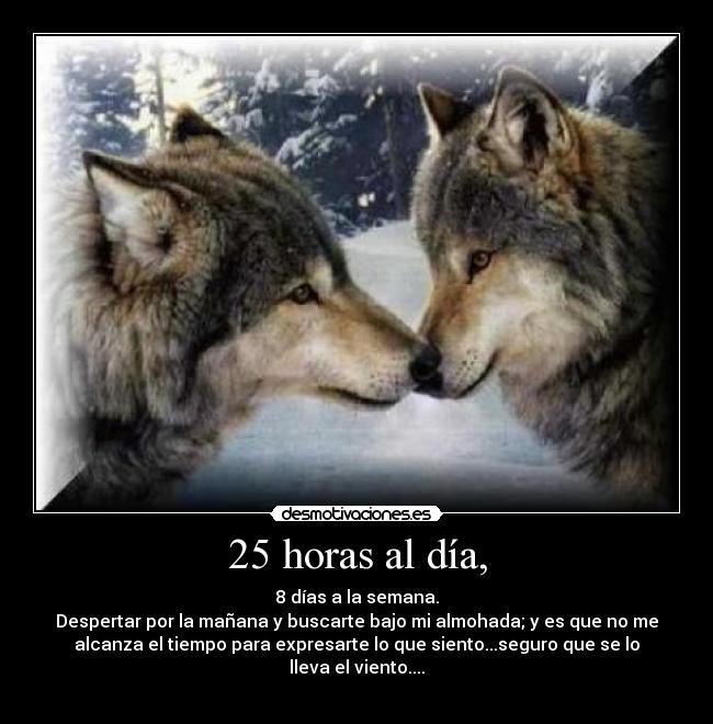25 horas al día, Desmotivaciones