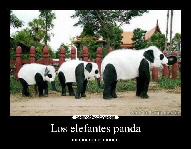 Los elefantes panda -