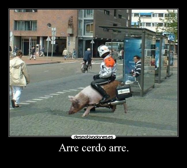 carteles sdf desmotivaciones