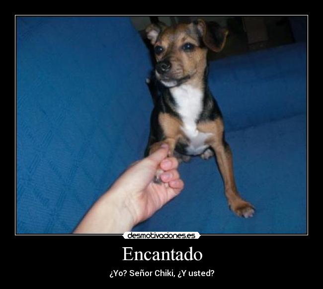 Encantado - ¿Yo? Señor Chiki, ¿Y usted?