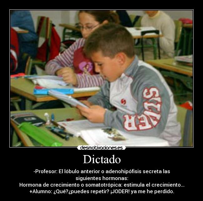 Dictado - -Profesor: El lóbulo anterior o adenohipófisis secreta las siguientes hormonas:
Hormona de crecimiento o somatotrópica: estimula el crecimiento...
+Alumno: ¿Qué?¿puedes repetir? ¡JODER! ya me he perdido.