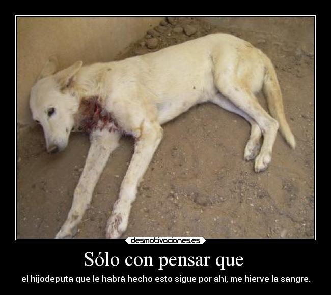 Sólo con pensar que -