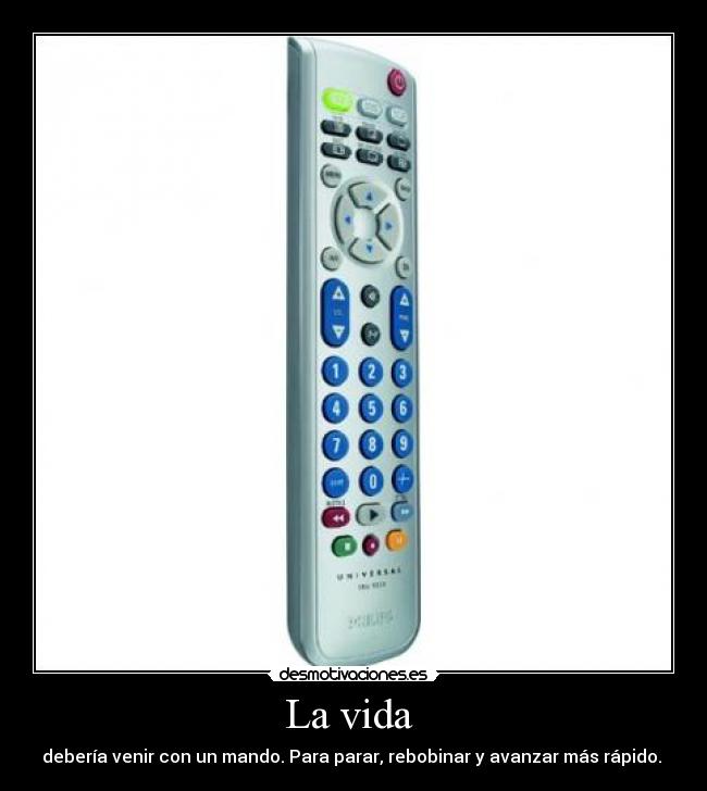 La vida - debería venir con un mando. Para parar, rebobinar y avanzar más rápido.