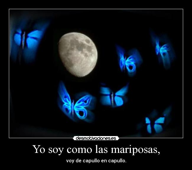 Yo soy como las mariposas, - voy de capullo en capullo.