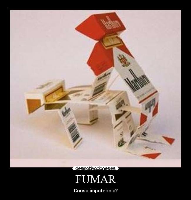 carteles sexo desmotivaciones