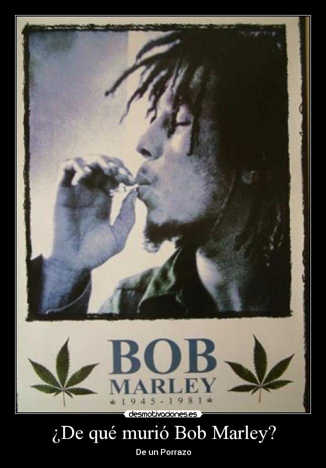 carteles que murio bob marley desmotivaciones