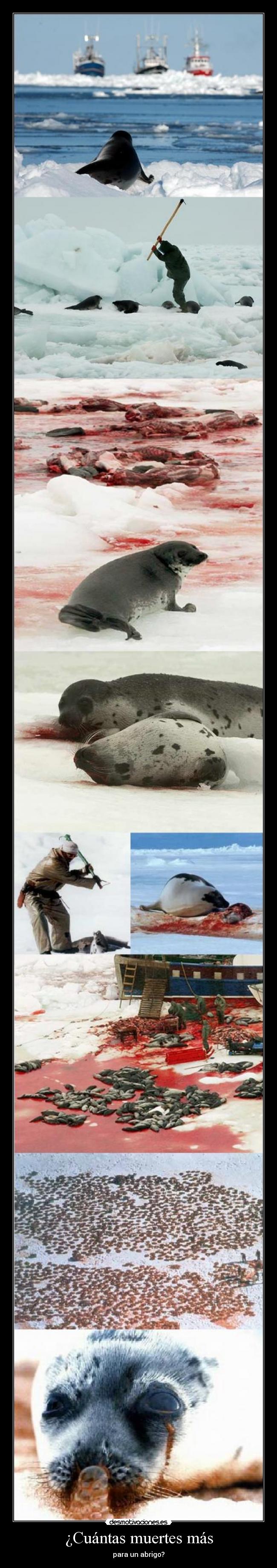 ¿Cuántas muertes más -