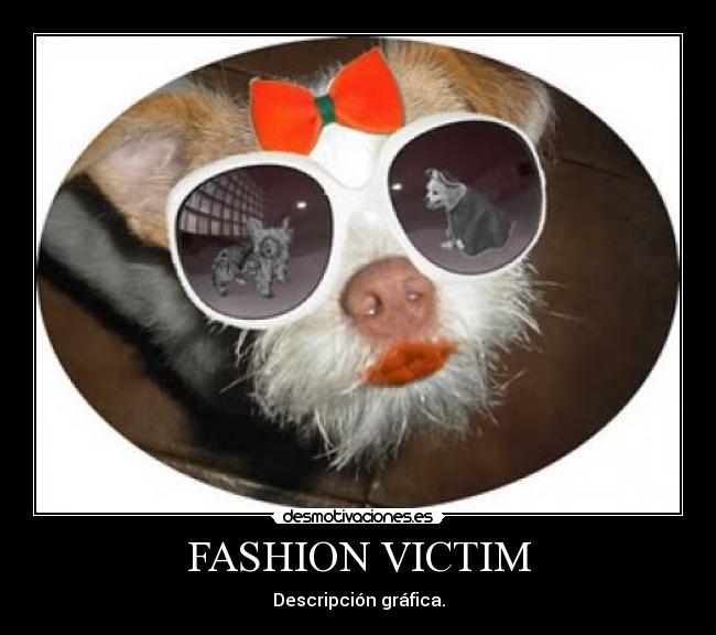 FASHION VICTIM - Descripción gráfica.