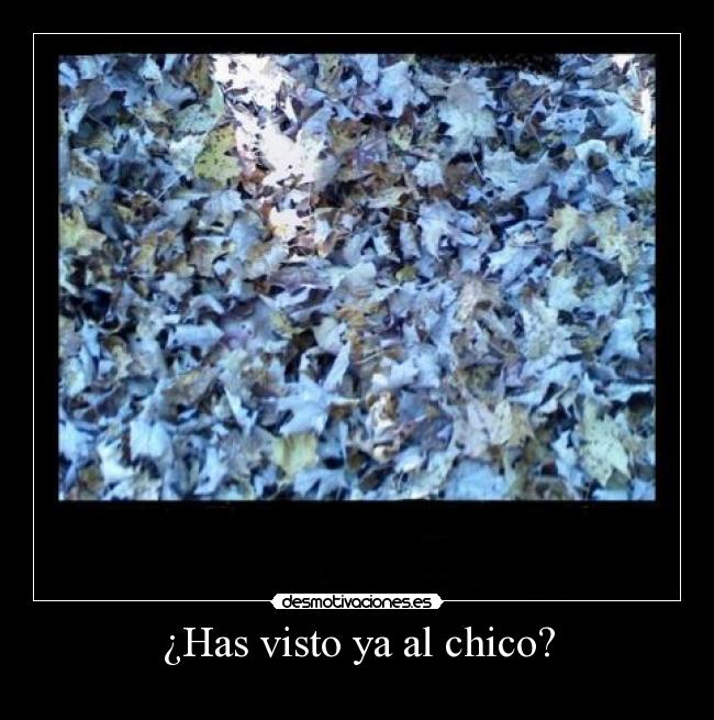 ¿Has visto ya al chico? - 