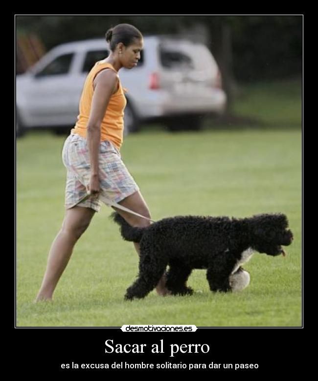 Sacar al perro  - 