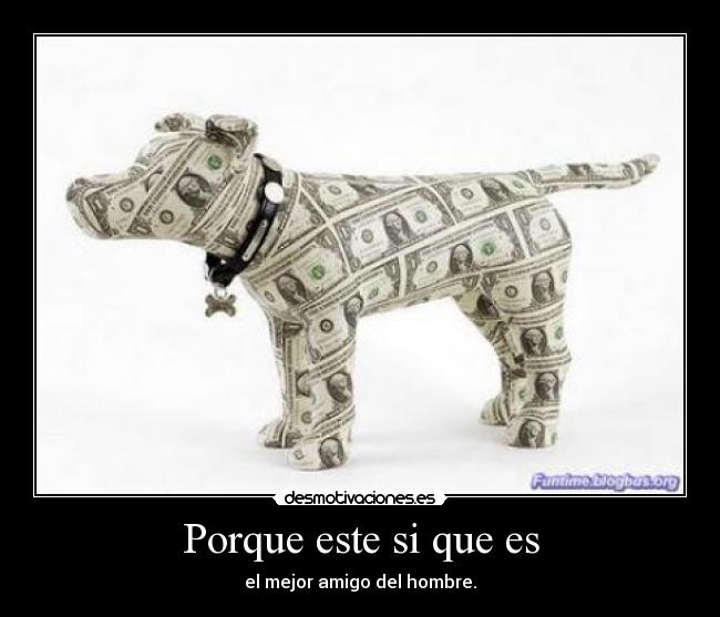 Porque este si que es - el mejor amigo del hombre.