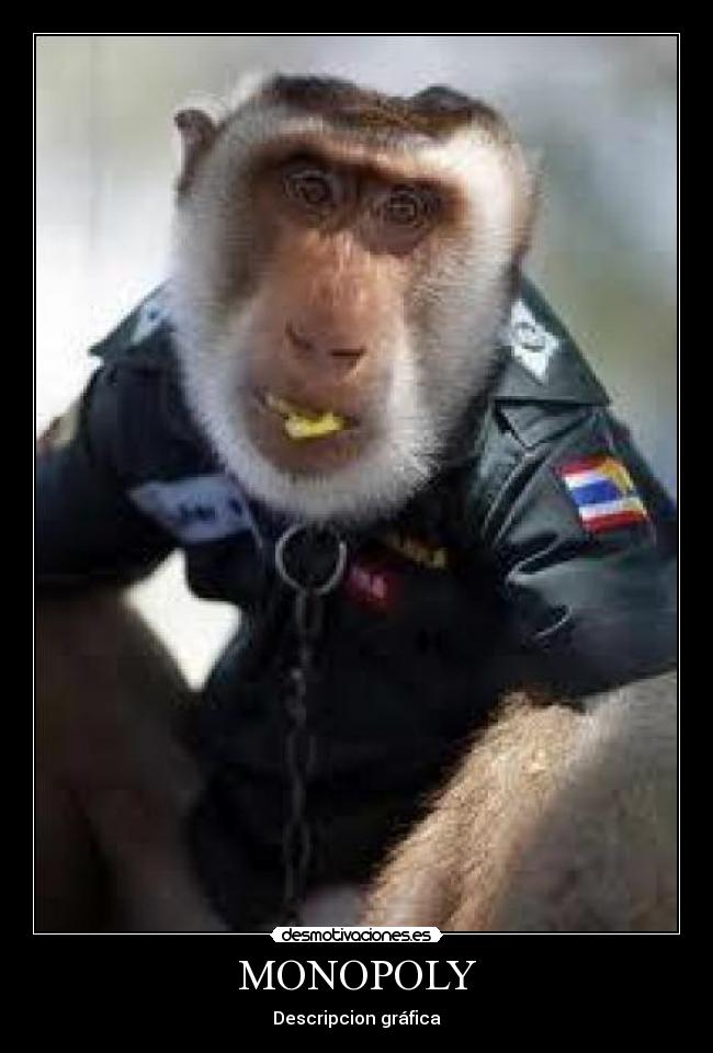 MONOPOLY - Descripcion gráfica