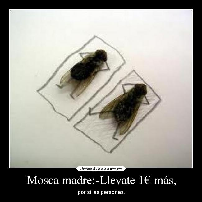 Mosca madre:-Llevate 1€ más, - 