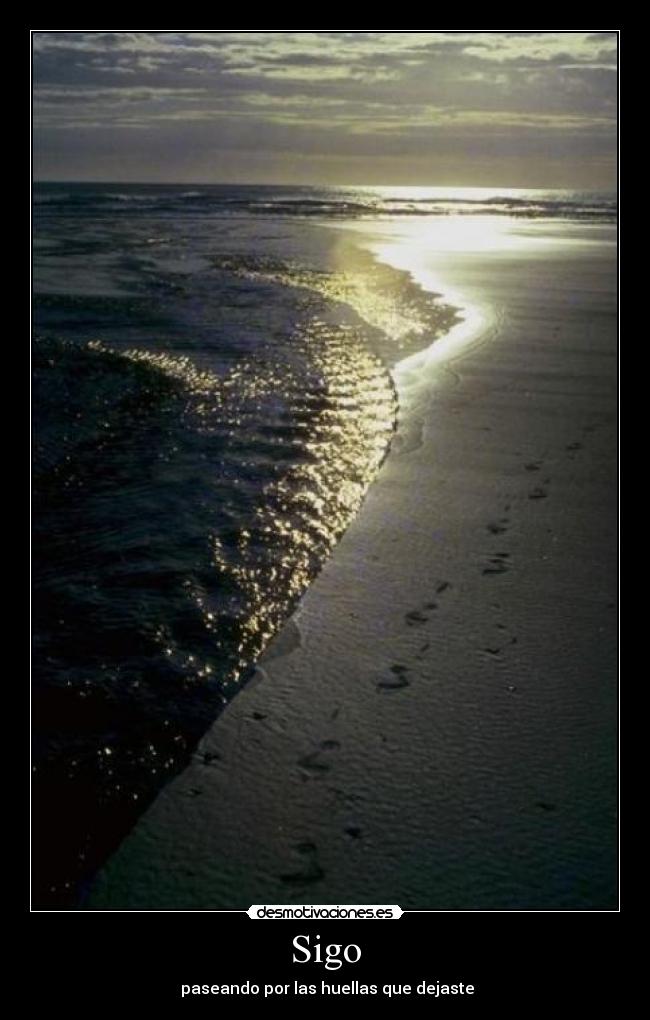 Sigo -