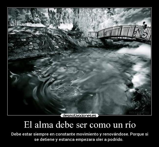 carteles alma alma debe ser como rio desmotivaciones