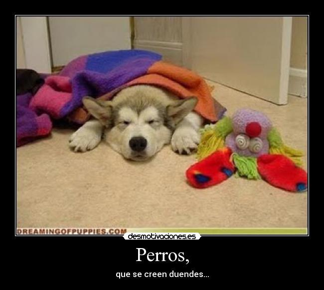 carteles orejas1 desmotivaciones