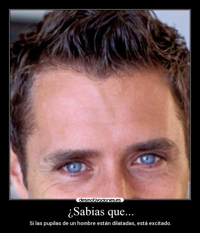 carteles pupilas desmotivaciones