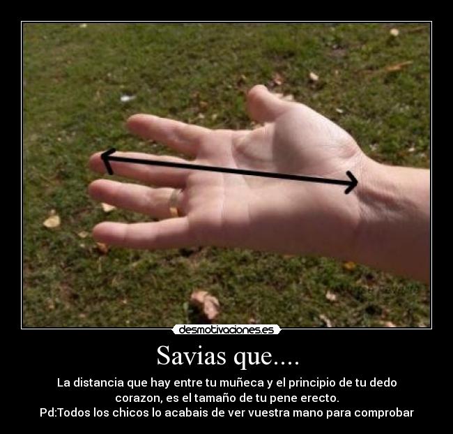 Savias que.... - La distancia que hay entre tu muñeca y el principio de tu dedo
corazon, es el tamaño de tu pene erecto.
Pd:Todos los chicos lo acabais de ver vuestra mano para comprobar