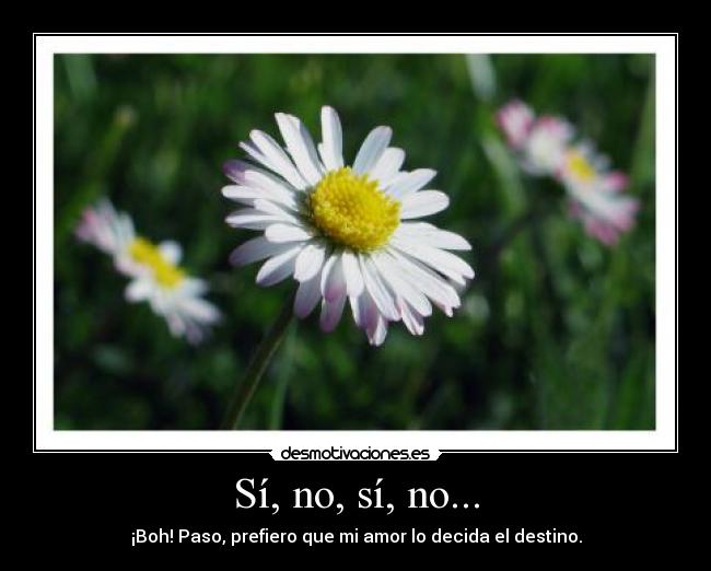 Sí, no, sí, no... - ¡Boh! Paso, prefiero que mi amor lo decida el destino.