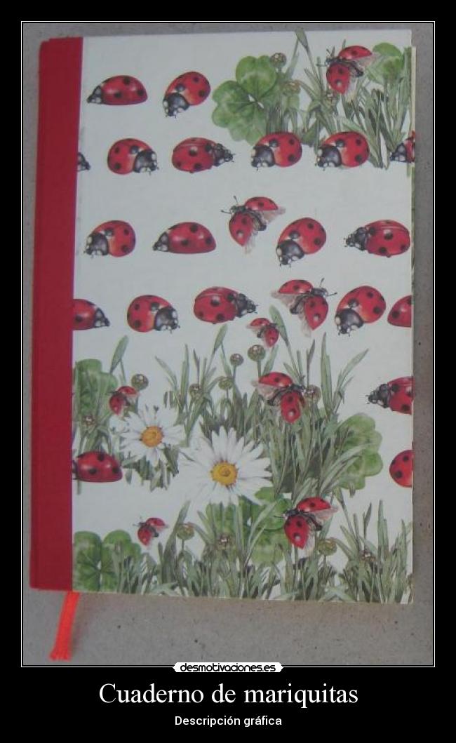 carteles mariquitas desmotivaciones