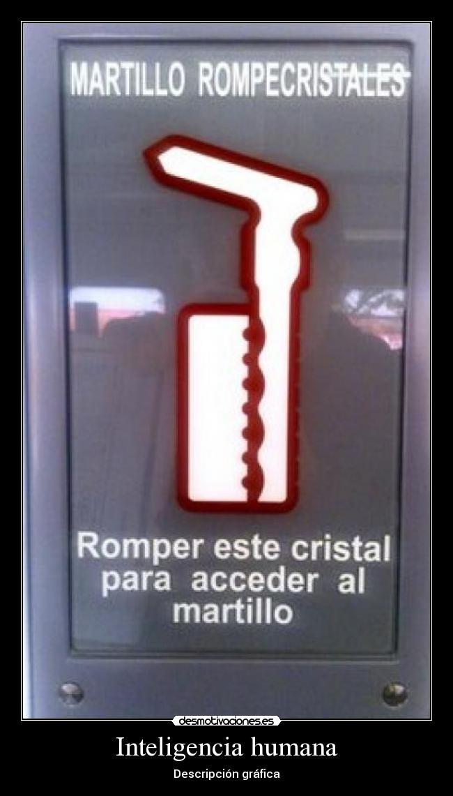 Inteligencia humana - Descripción gráfica