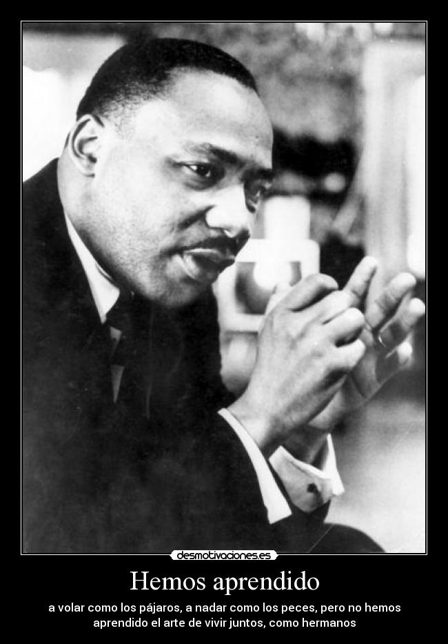 Hemos aprendido - 