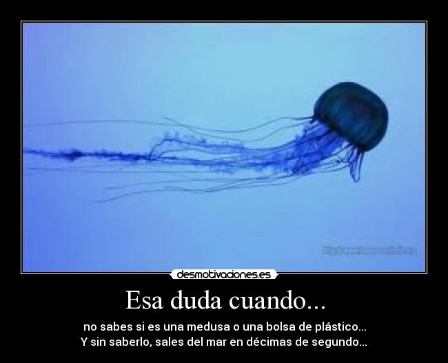 Esa duda cuando... - 