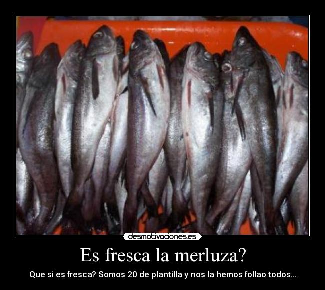 Es fresca la merluza? - Que si es fresca? Somos 20 de plantilla y nos la hemos follao todos...