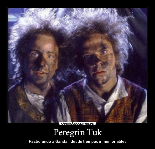 Peregrin Tuk -