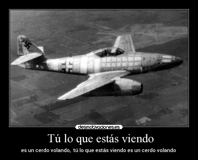  Tú lo que estás viendo - es un cerdo volando,  tú lo que estás viendo es un cerdo volando ♫