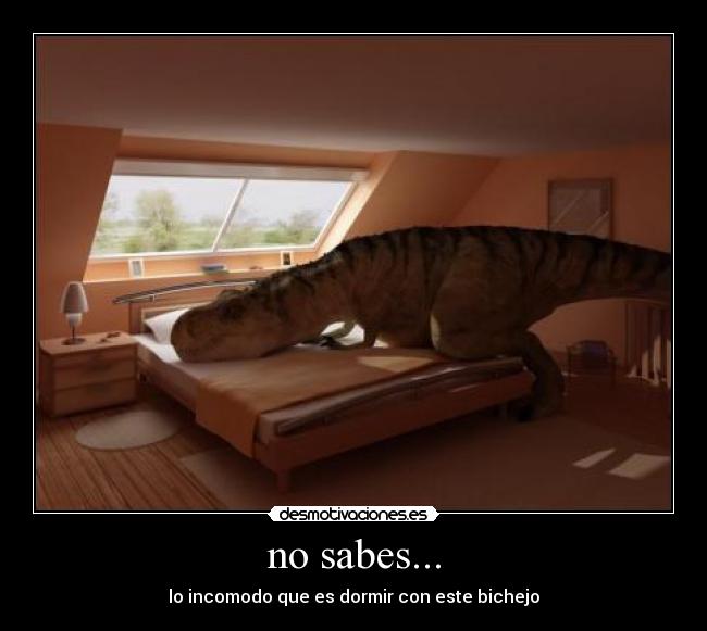 no sabes... - lo incomodo que es dormir con este bichejo