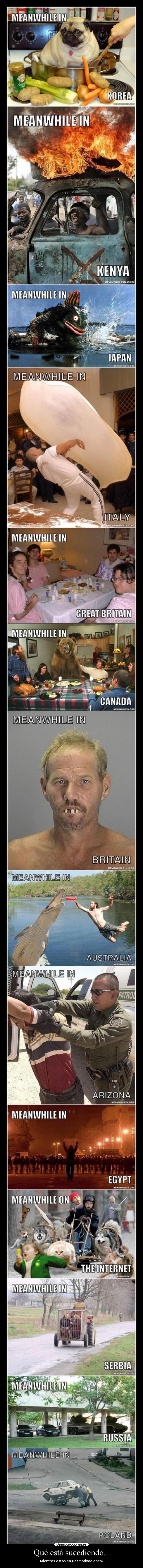 carteles principal desmotivaciones