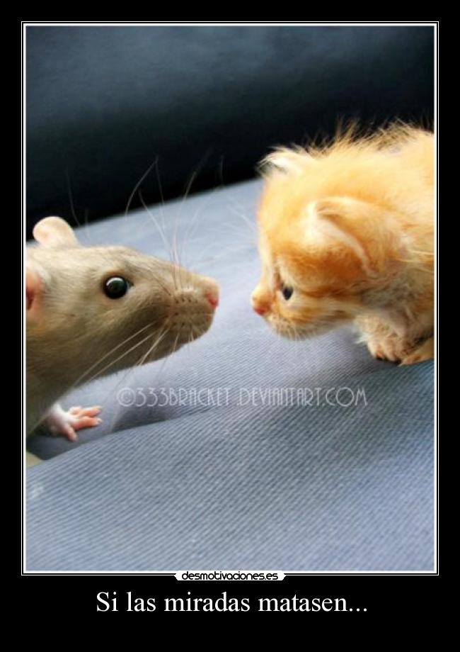 Si las miradas matasen... -