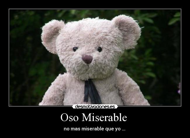 Oso Miserable  - no mas miserable que yo ... 