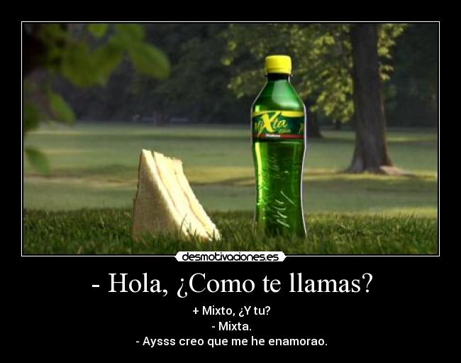 - Hola, ¿Como te llamas? - + Mixto, ¿Y tu?
- Mixta.
- Aysss creo que me he enamorao.