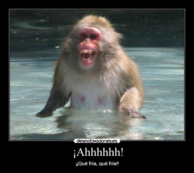 ¡Ahhhhhh! - ¡¡Qué fría, qué fría!!