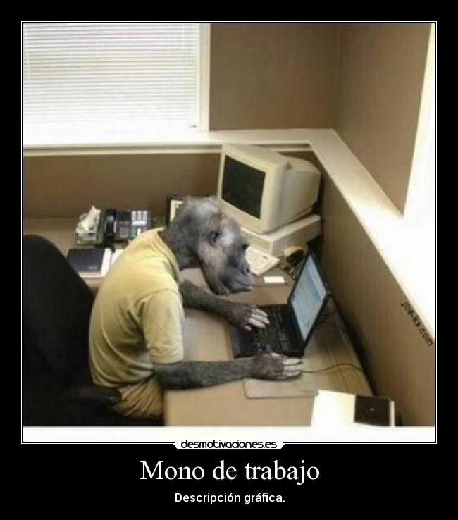Mono de trabajo - Descripción gráfica.